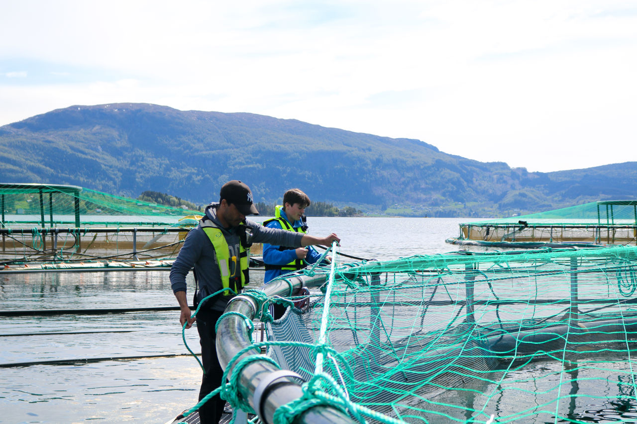 To akvakulturelever på sjøanlegg 